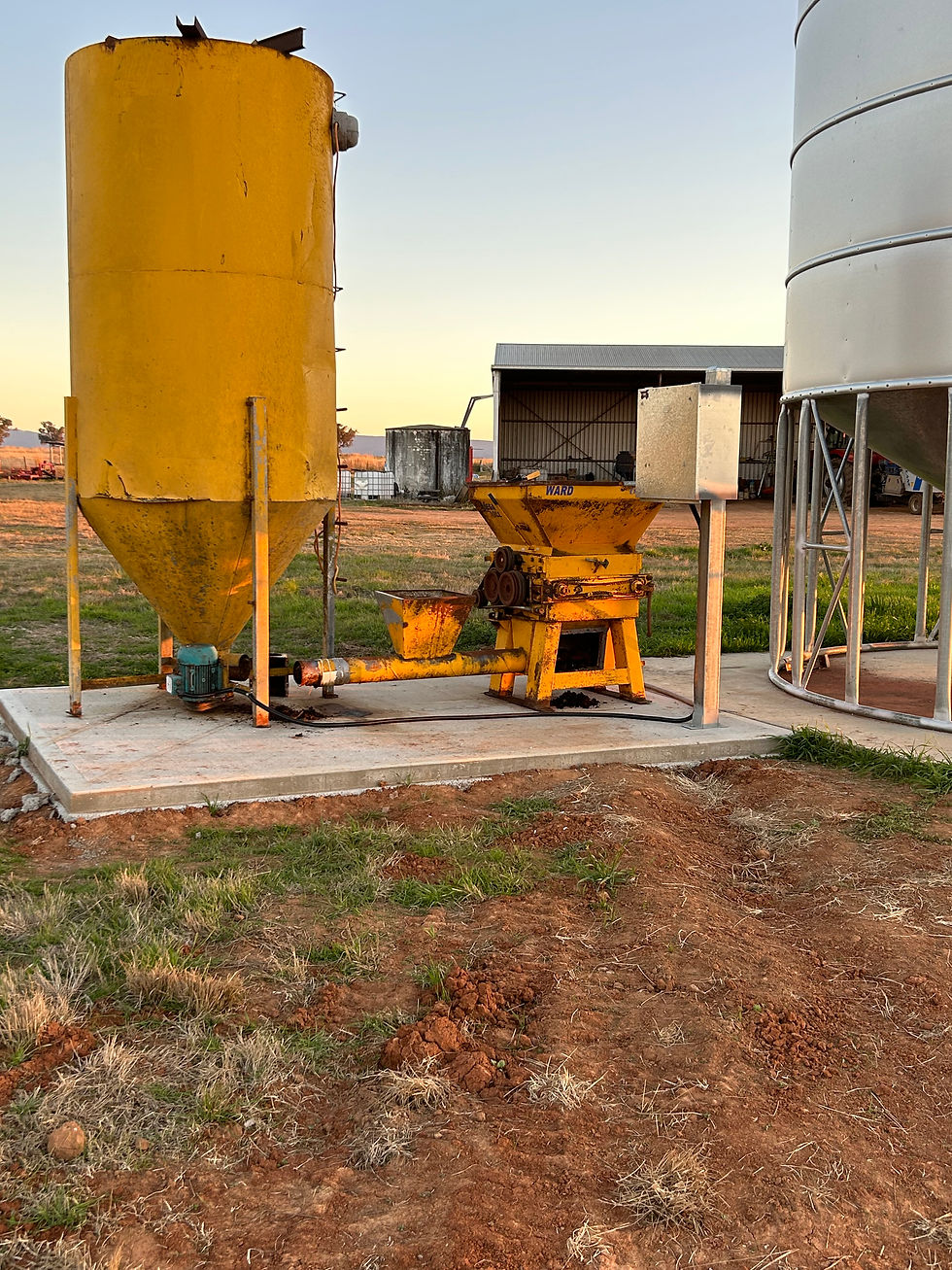 Agricultural Mechanical Electrical Tamworth HEMI