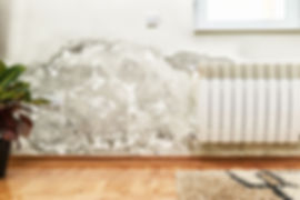 mold damag caused by flooding