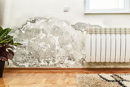 mold damag caused by flooding
