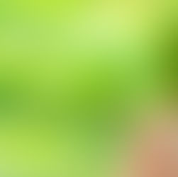 Entrega do relatório do RAPP inicia dia 1º de Fevereiro e vai até dia 31 de Março