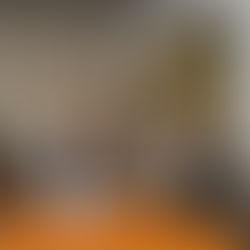 Prefeitura lança o programa Renovar Blumenau 2017