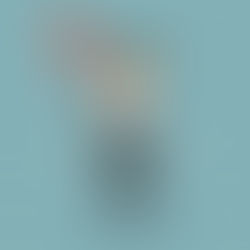 Período de Graça – Garantia de Benefícios Previdenciários Mesmo sem Contribuição