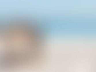 Quem define o período de férias?