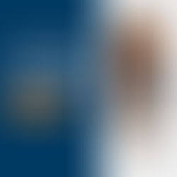 Como fazer um Balanço Patrimonial