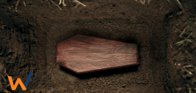 Planejamento, vida e morte de uma empresa