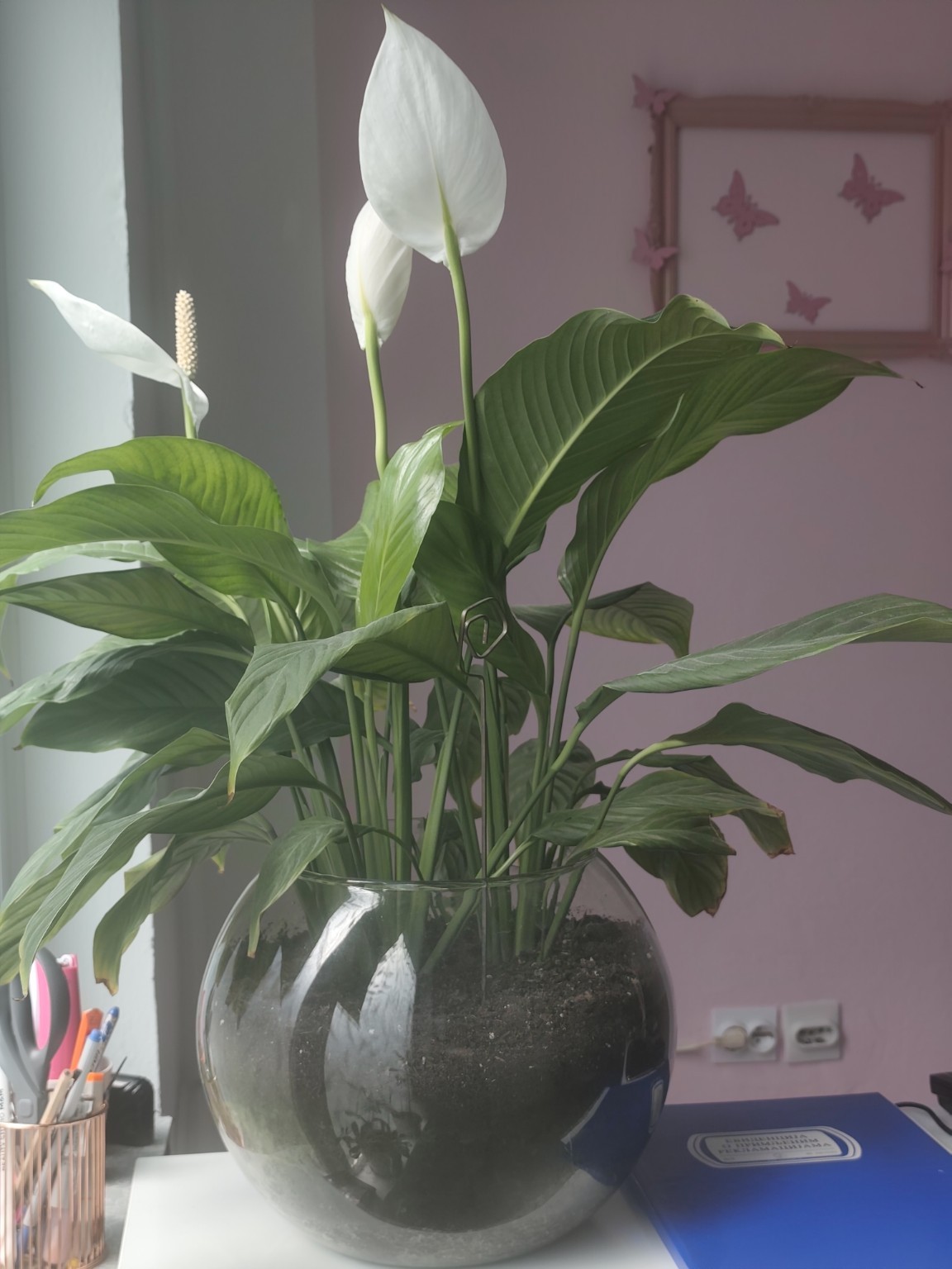 VitalInk beauty studio