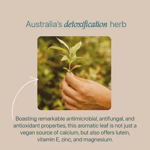 Thumbnail: Native Detox Tea