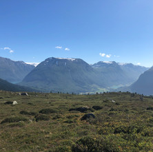 IMG_2410.jpeg