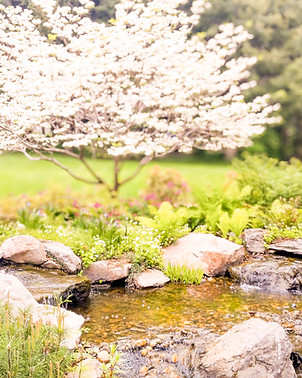 9140 Pond_2018_Waterfall copy.jpg