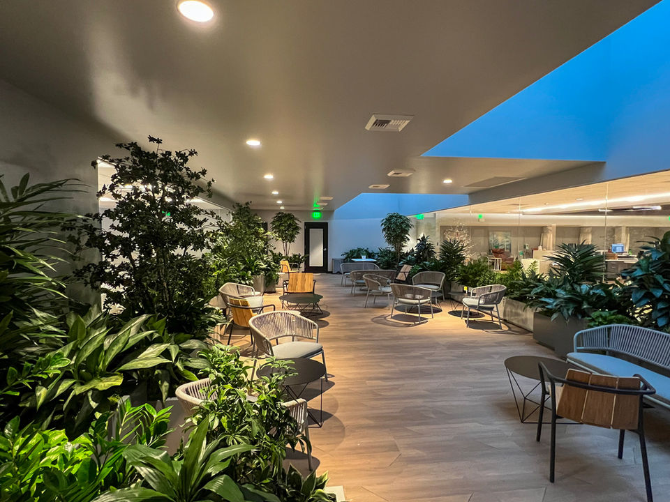 Cancer Care Infusion Center Interior Therapy Garden