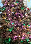 IMG_3278.JPG