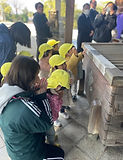 IMG_7596.JPG