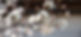 banner contact.jpg