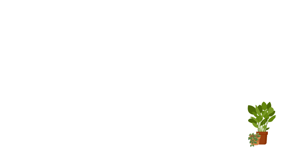 maceta.png