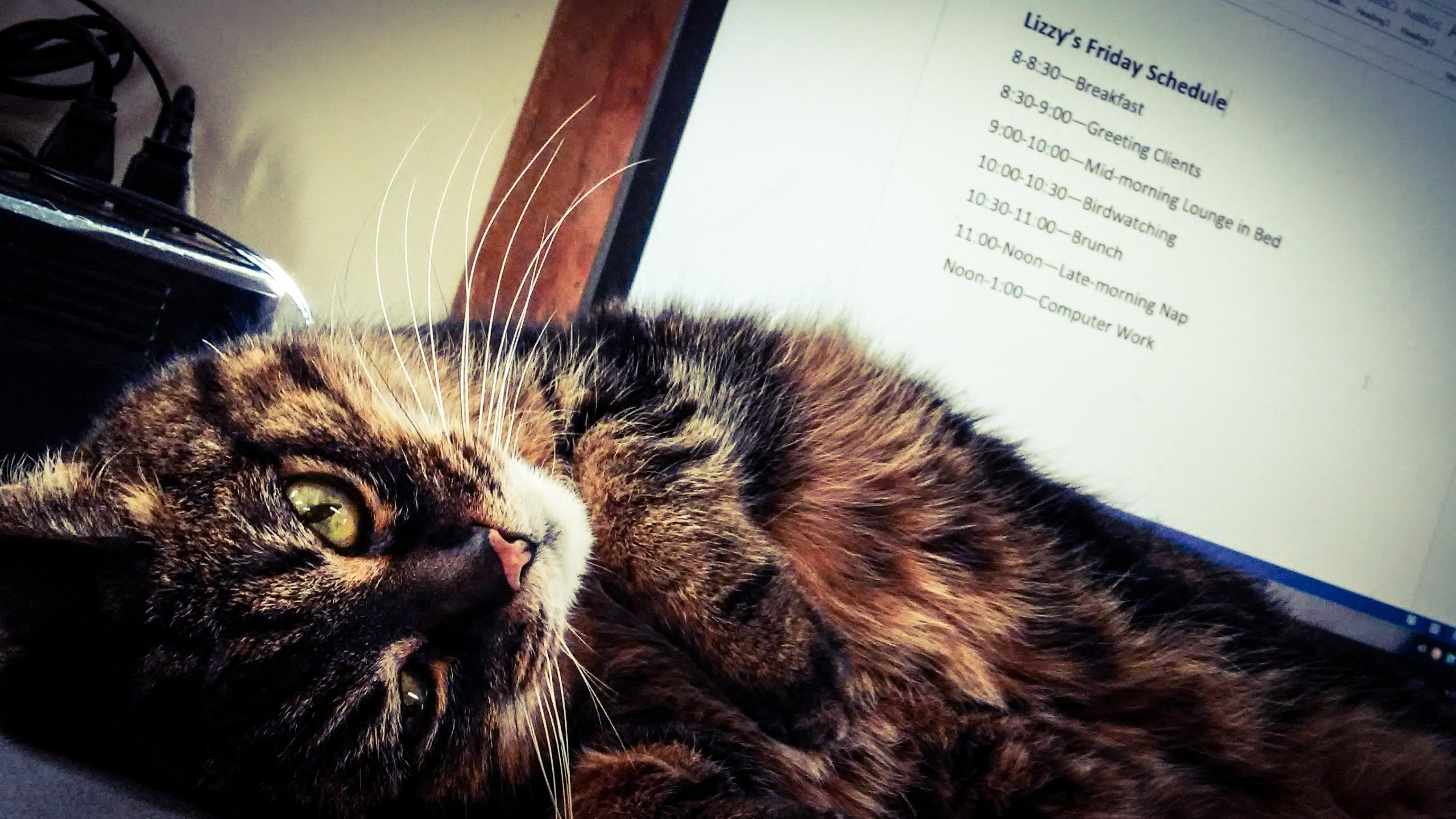 Bayshore Veterinary Clinic L'Anse