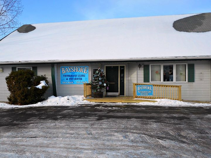 Bayshore Veterinary Clinic   Donna Leclaire DVM