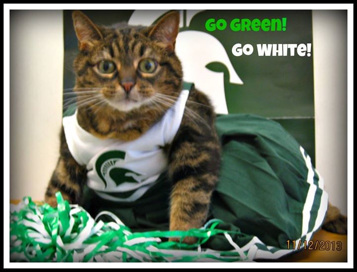 Bayshore Veterinary Clinic L'Anse