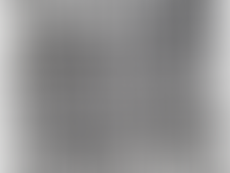 Untitled (White)