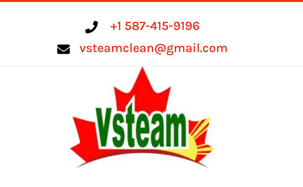 VSteam Cleaning Services