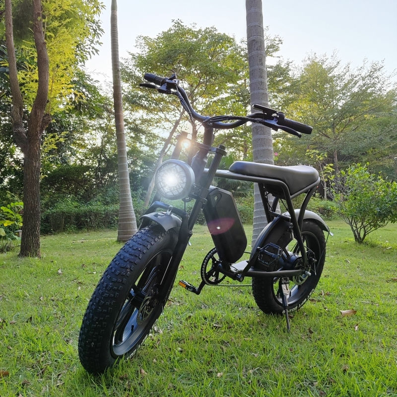 Thumbnail: EU Stock Original V8 48V 1000W Motor Electric Bike ebike 15Ah Lithium Battery Mo