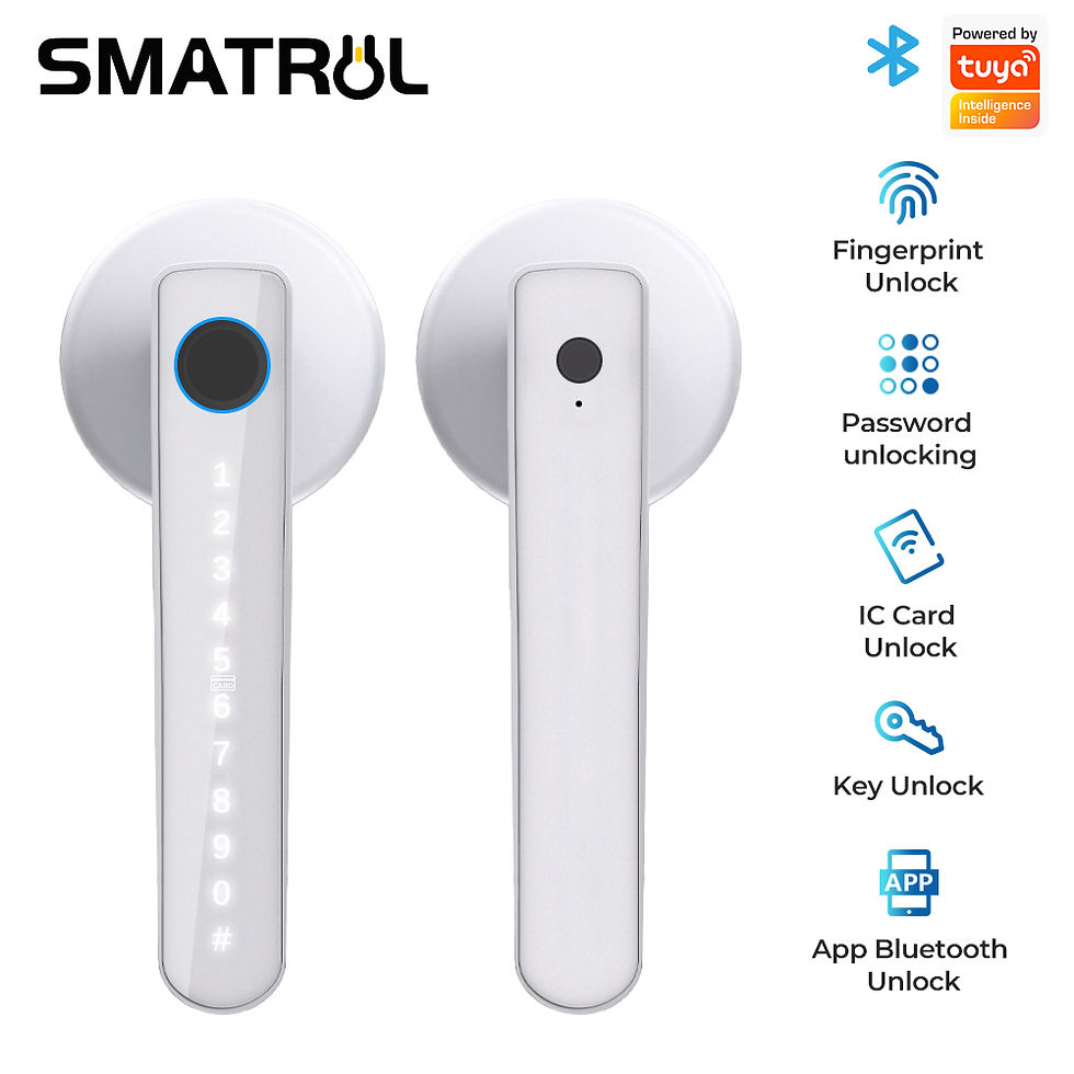 Miniatura: WIFI Smart Door Lock Fingerprint BLE Digital Doorlock Electronic Outdoor Lock Pa