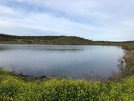 Lake - Jackson Tank 4.jpeg