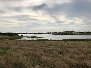 Lake - LH Tank.jpeg