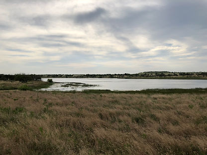 Lake - LH Tank.jpeg