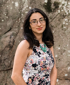 meira_webclimb_board.jpeg