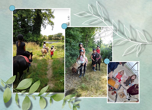 Anniversaire poney.png