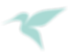 TT-Brand-Mark-Light-Teal_LR.png