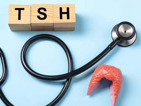 Maladie de Hashimoto : l'approche fonctionnelle pour reprendre le contrôle de votre thyroïde