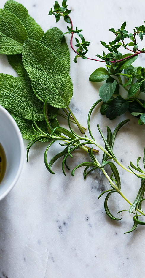 Herbs and Condiment