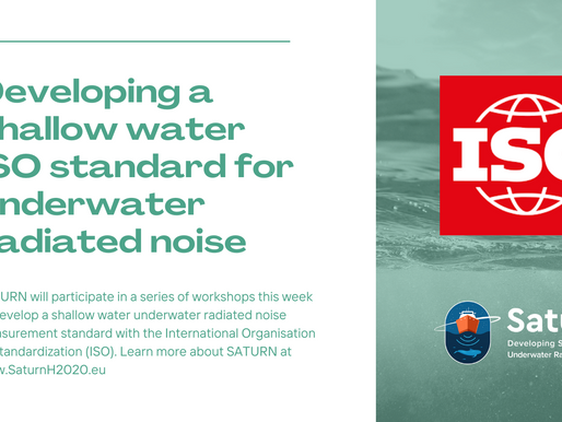 Developing a new standard for underwater noise