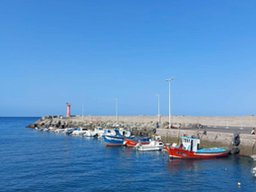 Developing Targeted Solutions for Biodiversity and Climate Sustainability and Resilience