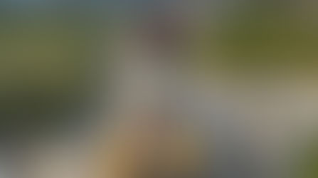 Oak Island Rentals: An Insider’s Guide to the Perfect Family Vacation