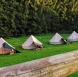 Glamping Zelte