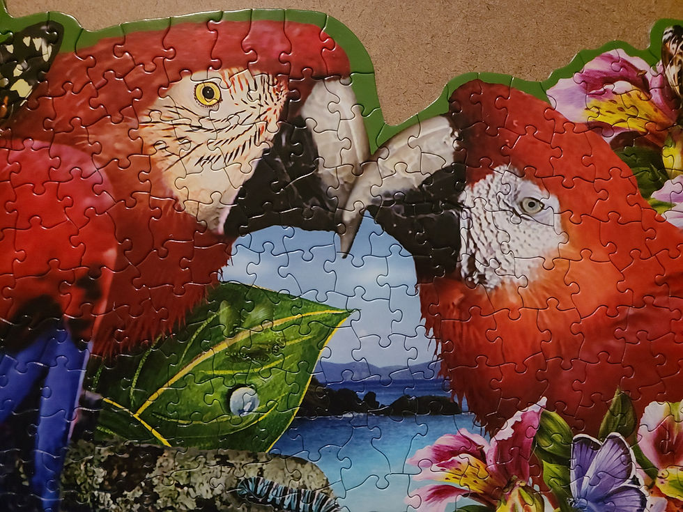 Thumbnail: 1000 Pieces Parrots Puzzle