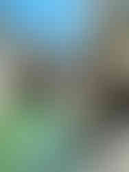 Venice, Italy canals