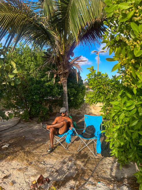 Chairs set up under palm trees on the beach in Aruba
