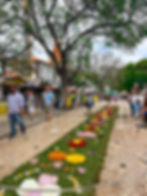 A flower carpet at the Flower Festival on Avenida Arriaga in Funchal on Madeira Island