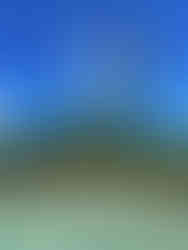 Airplane flying overhead on the beach in Aruba