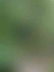 Suwat waterfall in Ubud, Bali, Indonesia