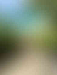 The path to Kelingking beach on Nusa Penida in Indonesia