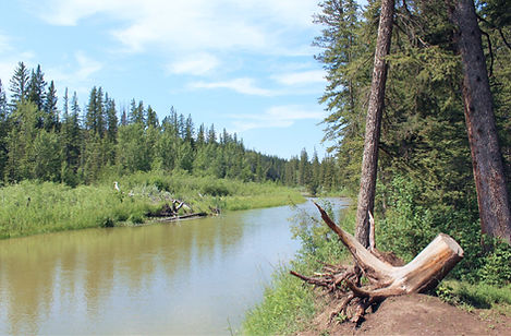Forest schools in and around Calgary