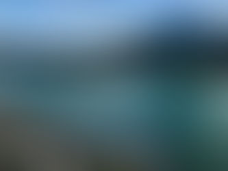 Spring in Calgary offers a variety of free activities that let you enjoy nature, culture, and community events