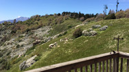 mtnview962b-2.jpeg