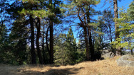 img_9795.jpeg