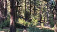 img_9833.jpeg