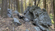 img_9835.jpeg